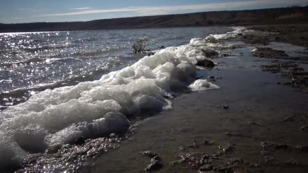 Schmutziger Schaum Auf Dem Wasser Und Der Küste Eutrophierung Verschmutzung — Stockvideo