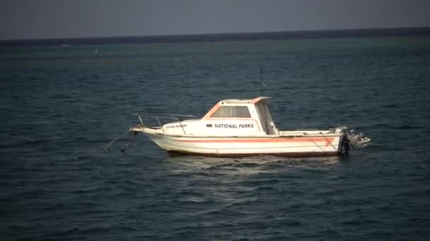 Egito Abu Dabb Maio 2019 Velho Barco Parque Nacional Mar — Vídeo de Stock