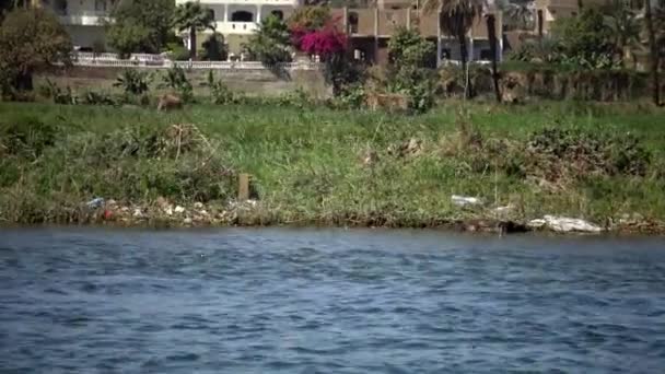 Luxor Egypt 2019 나일강에 배에서 해안을 쓰레기가 떨어지는 이집트 — 비디오