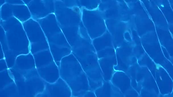 Vatten Poolen Solljus Reflekteras Vågor Reflektion Och Bländning Solsken Vattnet — Stockvideo