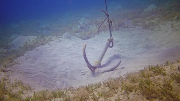 埃及红海珊瑚礁附近沙底上的铁锚 — 图库视频影像