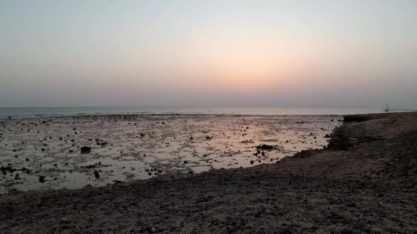 Vroege Walvis Aan Kust Koraalrif Bij Rode Zee Egypte — Stockvideo