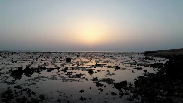 Vroege Walvis Aan Kust Koraalrif Bij Rode Zee Egypte — Stockvideo