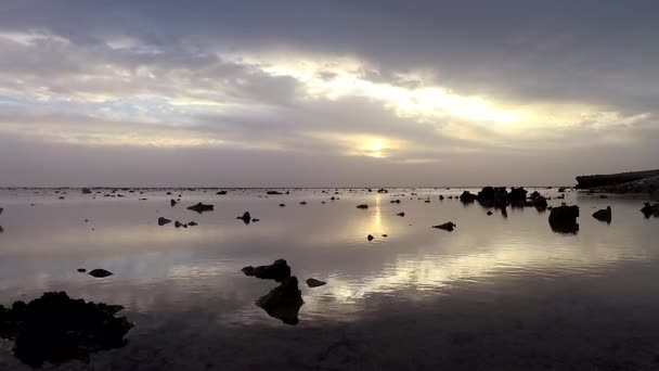 Восход Солнца Над Морем Прибрежный Риф Время Отлива Красное Море — стоковое видео