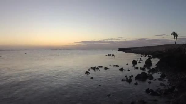 Восход Солнца Над Морем Прибрежный Риф Время Отлива Красное Море — стоковое видео