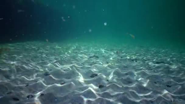 太阳在海床上的光芒 太阳在水柱上和海床上的光芒 光线在水中的反射 — 图库视频影像