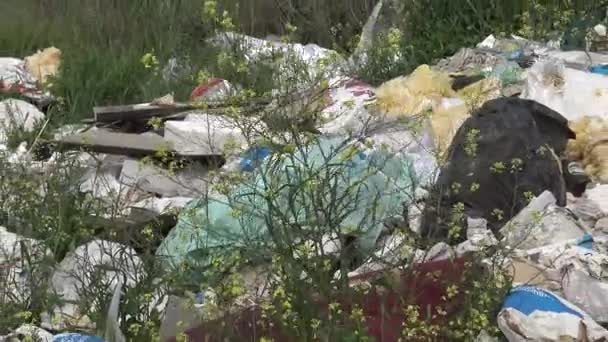 Haufenweise Plastikmüll Ufer Des Stausees Umweltverschmutzung Ökologie Der Natur Unorganisierte — Stockvideo