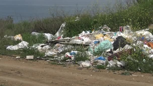 Cumuli Rifiuti Plastica Sulla Riva Del Serbatoio Inquinamento Ambientale Ecologia — Video Stock