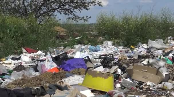 저수지의 물가에는 플라스틱 쓰레기가 자연의 무질서 쓰레기 처리장 우크라이나 이베이 — 비디오