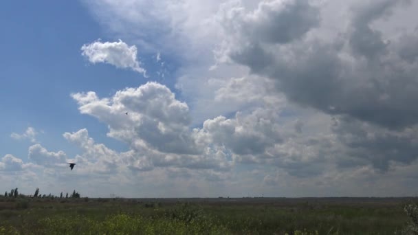 Witte Donderwolken Oekraïense Steppe Versneld — Stockvideo