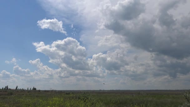 Bílé Bouřkové Mraky Ukrajinský Stepní — Stock video