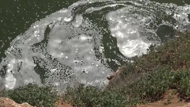 Загрязнение Черного Моря Пена Воде Эвтрофикация — стоковое видео