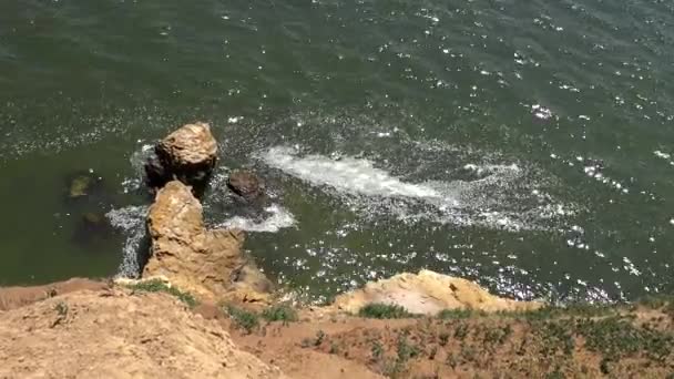 Vervuiling Van Zwarte Zee Schuim Het Water Eutrofiëring — Stockvideo