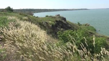 Kıyı Hadzhibey haliç, rezervuar kıyısında yabani bozkır bitki örtüsü. Ukrayna Yaban Hayatı