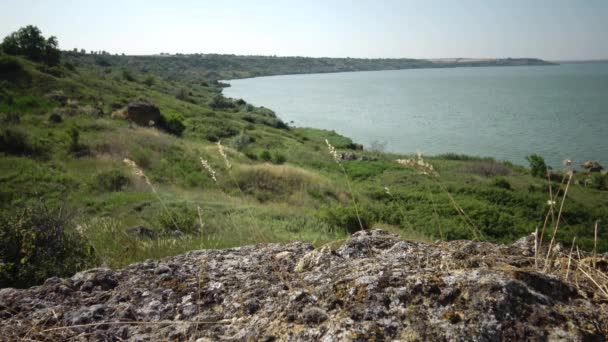 Estuaire Côtier Hadzhibey Végétation Sauvage Steppe Sur Rive Réservoir Faune — Video