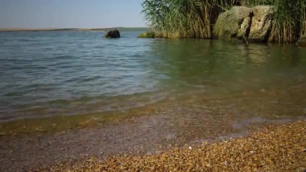 Estuário Costeiro Ondas Água Tranquilas Costa Rochosa Paisagem Aquática Ucrânia — Vídeo de Stock