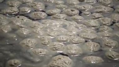Deniz kirliliği, ötrofikasyon, su yüzeyinde kirli organik köpük dalgası. Odessa Bay, Karadeniz, Ukrayna