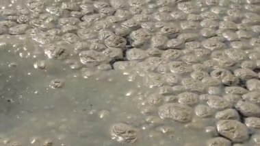 Deniz kirliliği, ötrofikasyon, su yüzeyinde kirli organik köpük dalgası. Odessa Bay, Karadeniz, Ukrayna