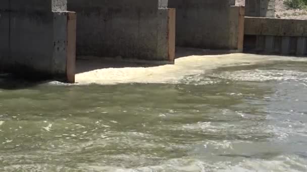 Tengerszennyezés Eutrofizáció Szennyezett Szerves Hab Hullám Felszínen Víz Odessa Bay — Stock videók