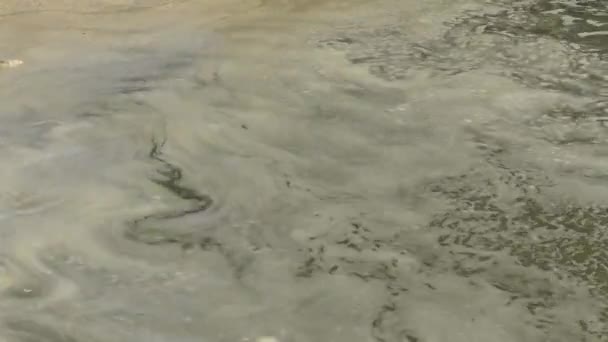 Havforurening Eutrofiering Beskidt Organisk Skumbølge Overfladen Vandet Odessa Bay Sortehavet – Stock-video