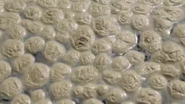 Poluição Mar Eutrofização Onda Espuma Orgânica Suja Superfície Água Odessa — Vídeo de Stock