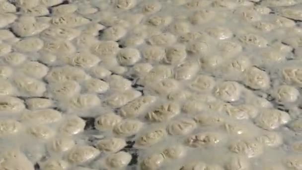 Contaminación Del Mar Eutrofización Oleaje Espuma Orgánica Sucia Superficie Del — Vídeo de stock