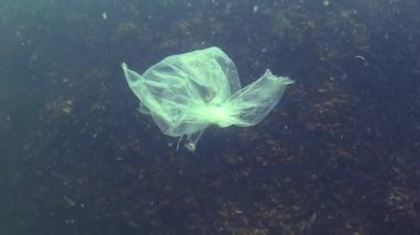 Denizde plastik torba, karides öldürüyor. Plastik çöp, kirlilik, Karadeniz