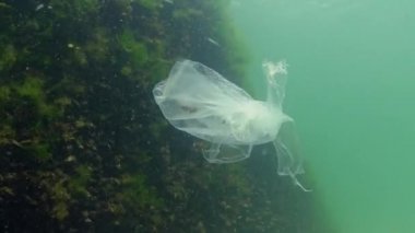 Denizde siyah plastik torba, deniz balıkları ve hayvanların katili. Plastik enkaz, çevre kirliliği, suda yaşayanların ölümü. Karadeniz, Ukrayna