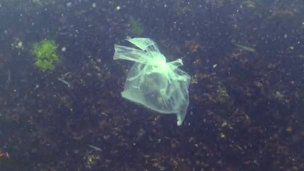 Πλαστική Σακούλα Στη Θάλασσα Σκοτώνοντας Γαρίδες Πλαστικά Σκουπίδια Ρύπανση Μαύρη — Αρχείο Βίντεο