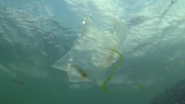 Plastikový Pytel Moři Zabíjím Garnáty Plastové Smetí Znečištění Černé Moře — Stock video
