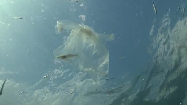 Пластиковий Мішок Море Вбиваючи Креветок Пластикові Сміття Забруднення Навколишнього Середовища — стокове відео