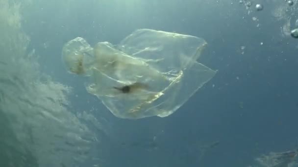 Plastpåse Havet Döda Räkor Plast Skräp Förorening Svarta Havet — Stockvideo