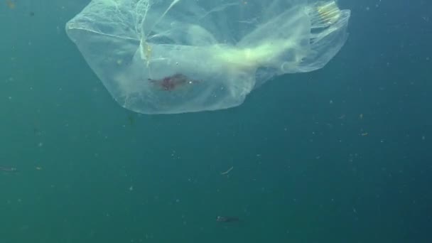 Sacchetto Plastica Mare Uccidendo Gamberetti Spazzatura Plastica Inquinamento Mar Nero — Video Stock