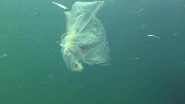 Plastpåse Havet Döda Räkor Plast Skräp Förorening Svarta Havet — Stockvideo