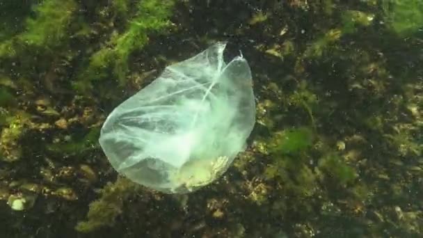 Мусор Воде Полиэтиленовый Пакет Убивает Морских Животных Краб Умирает Экология — стоковое видео