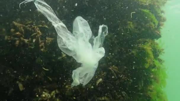 Denizde Siyah Plastik Torba Deniz Balıkları Hayvanların Katili Plastik Enkaz — Stok video