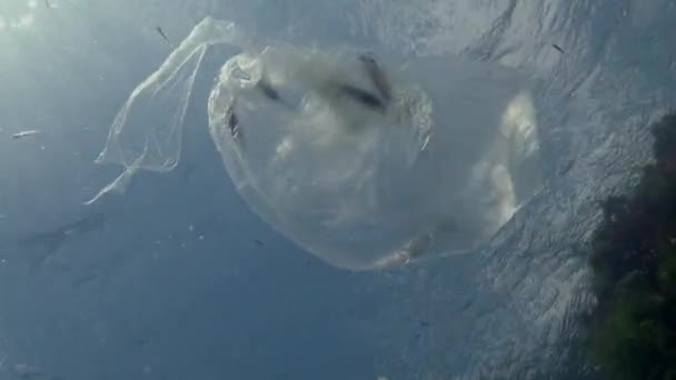 Saco Plástico Preto Mar Assassino Peixes Animais Marinhos Escombros Plásticos — Vídeo de Stock