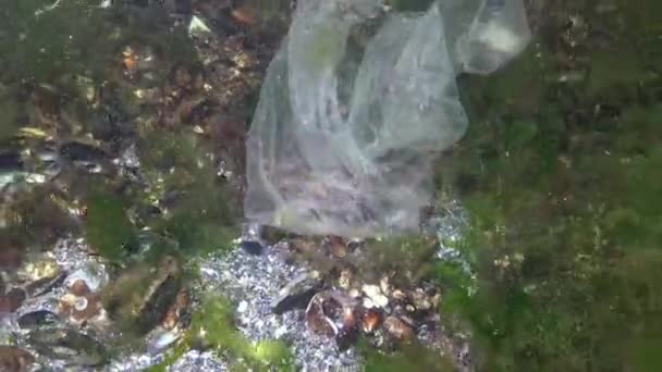 Denizde Plastik Torba Katil Yengeçler Plastik Enkaz Kirlilik Hayvanlarının Ölümü — Stok video