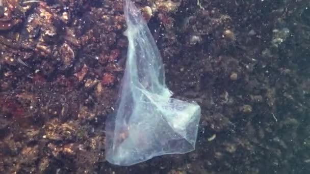 海の中のビニール袋 キラーカニ プラスチックごみ 水生動物の死 — ストック動画