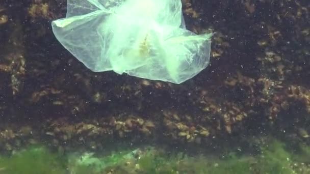 Saco Plástico Mar Matando Camarão Lixo Plástico Poluição Mar Negro — Vídeo de Stock