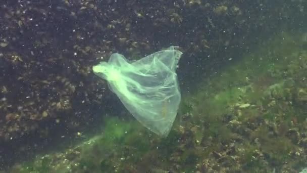 Bolsa Plástico Mar Matando Camarones Basura Plástica Contaminación Mar Negro — Vídeos de Stock