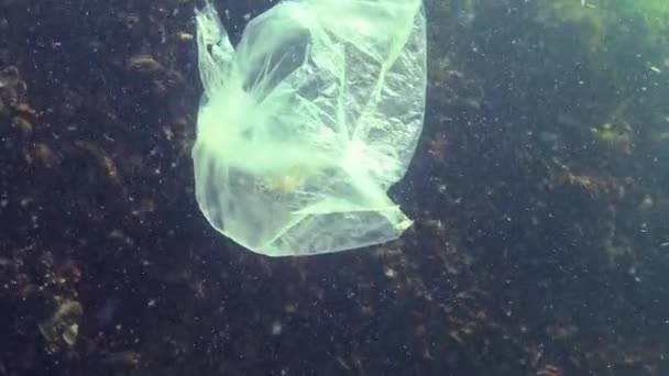 Saco Plástico Mar Matando Camarão Lixo Plástico Poluição Mar Negro — Vídeo de Stock