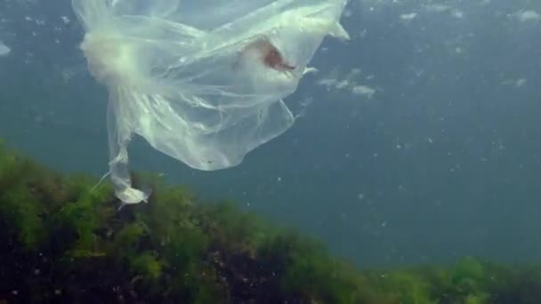 Plastic Bag Sea Killing Shrimp Plastic Trash Pollution Black Sea — Stock Video