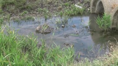 Ukrayna küçük nehirler, nehir akışının düzenlenmesi. Nehir bir beton borudan akar. Ukrayna