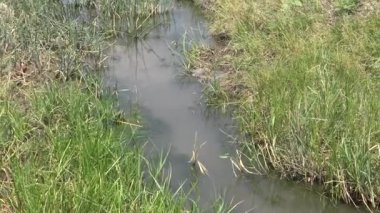 Ukrayna küçük nehirler, nehir akışının düzenlenmesi. Nehir bir beton borudan akar. Ukrayna