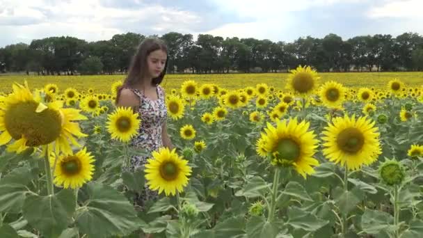 Menina Entre Girassóis Florescendo — Vídeo de Stock