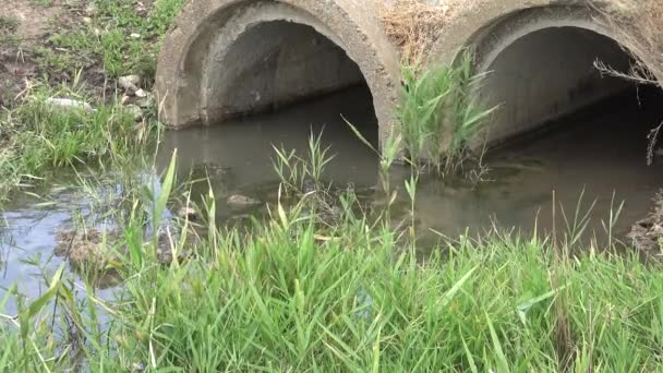 Pequeños Ríos Ucrania Regulación Del Flujo Fluvial Río Fluye Través — Vídeo de stock
