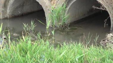 Ukrayna küçük nehirler, nehir akışının düzenlenmesi. Nehir bir beton borudan akar. Ukrayna