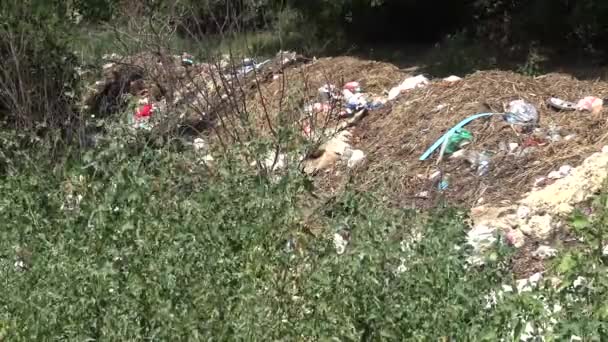 Ukrayna Odessa Bölgesi Haziran 2019 Plastik Polietilen Cam Çöp Vahşi — Stok video