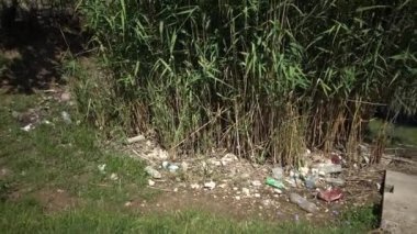 Ukrayna, Odessa bölgesi-10 Haziran 2019: plastik, polietilen ve cam çöp vahşi, çevre kirliliği, çevre felaket, doğanın imha